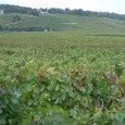 tren beaune detrenes