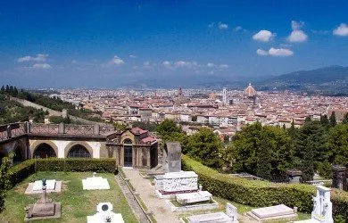 tren florencia detrenes