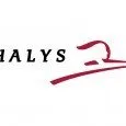 thalys detrenes